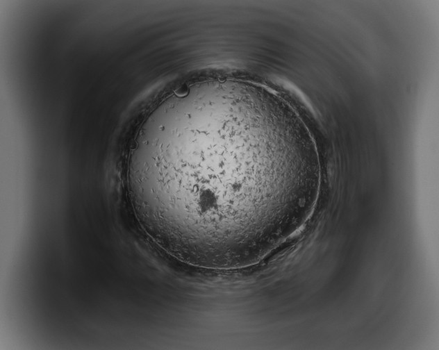 X0000100491064200806131245
