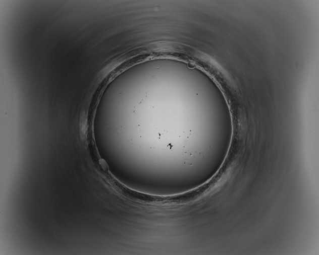 X0000100491065200806131245