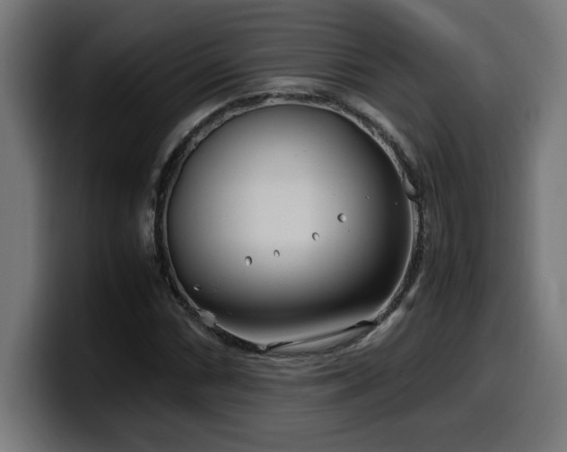 X0000100491066200806131245
