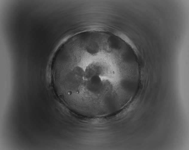 X0000100491067200806131245