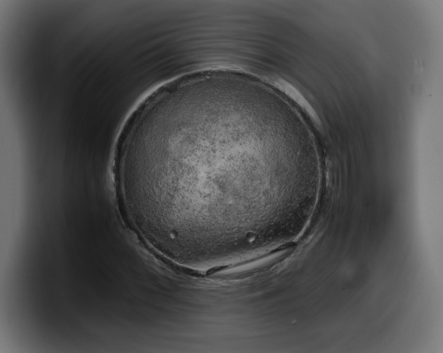 X0000100491068200806131245