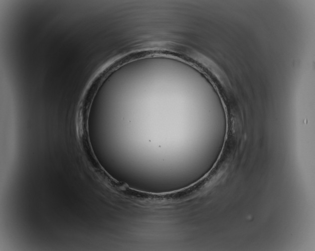 X0000100491069200806131245