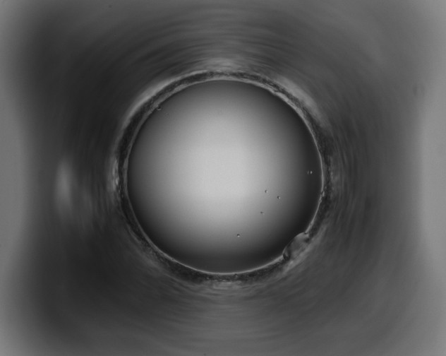 X0000100491070200806131245