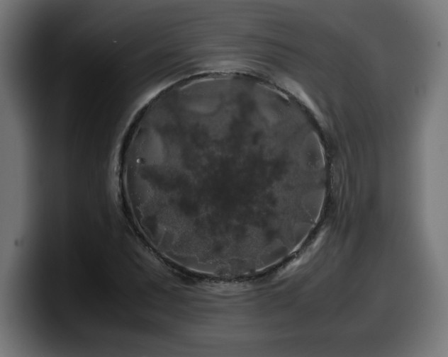 X0000100491071200806131245
