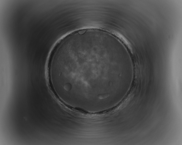 X0000100491072200806131245