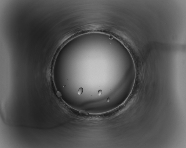 X0000100491073200806131245