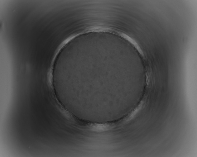 X0000100491074200806131245