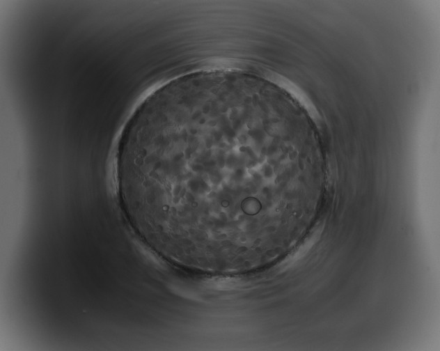 X0000100491075200806131245