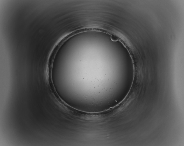 X0000100491076200806131245