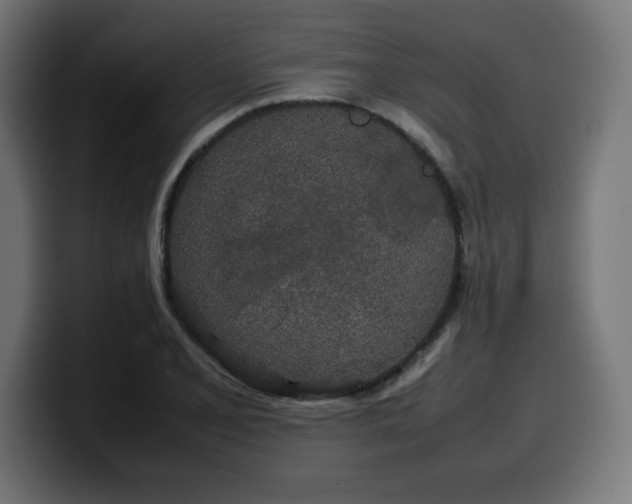 X0000100491077200806131245