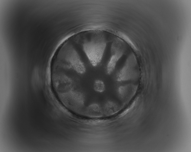 X0000100491079200806131245