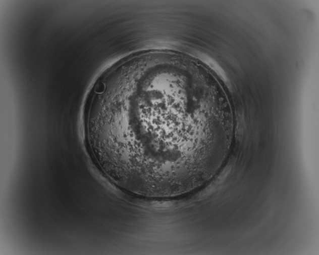 X0000100491080200806131245