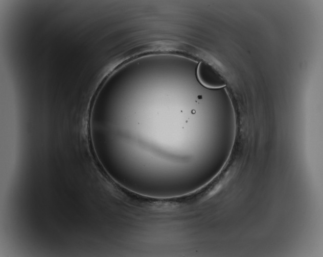 X0000100491081200806131245