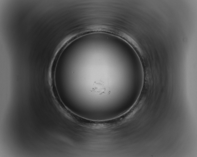 X0000100491082200806131245