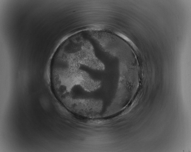 X0000100491083200806131245