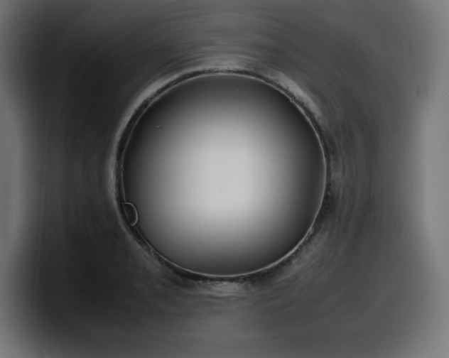 X0000100491085200806131245