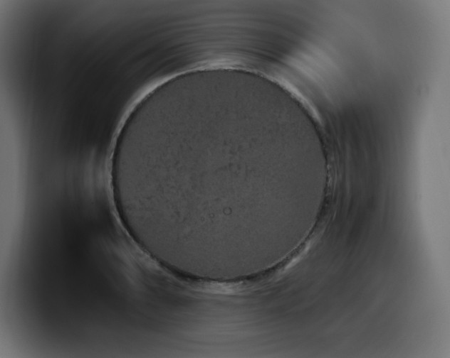 X0000100491086200806131245