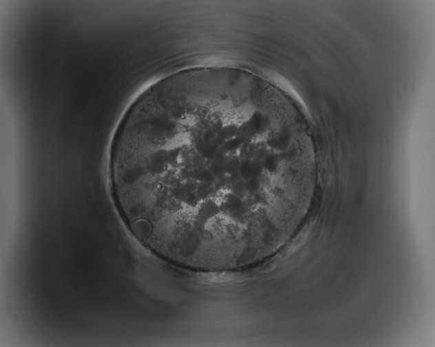X0000100491087200806131245