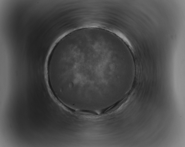 X0000100491088200806131245