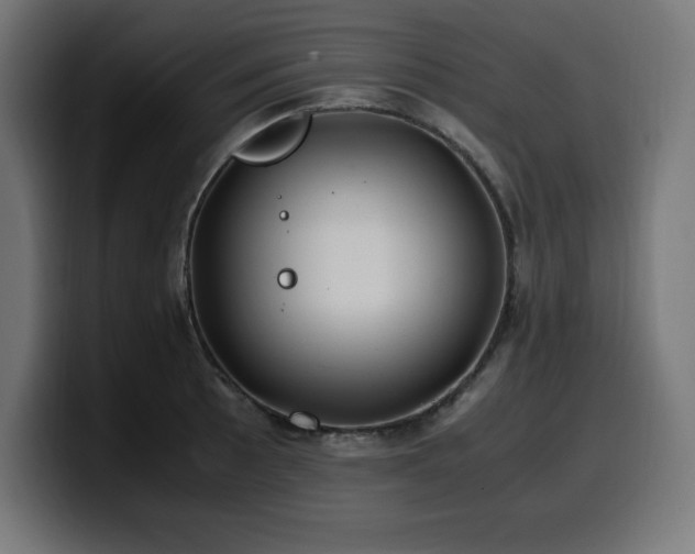 X0000100491089200806131245