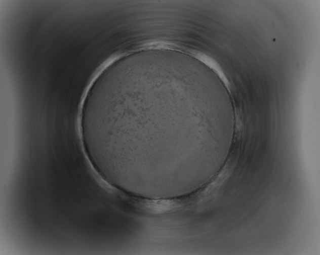 X0000100491090200806131245
