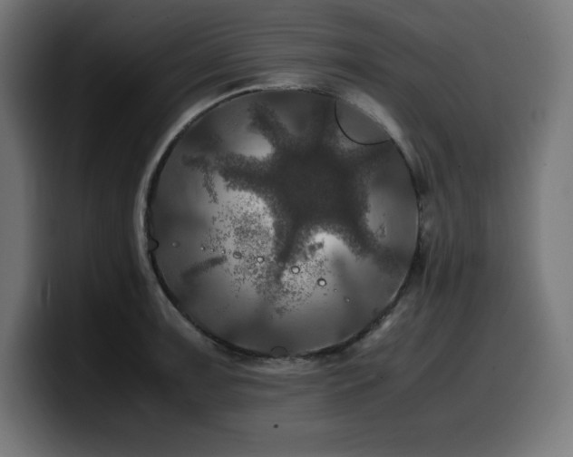 X0000100491091200806131245