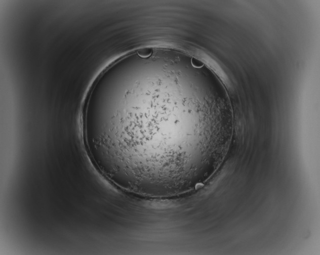 X0000100491092200806131245