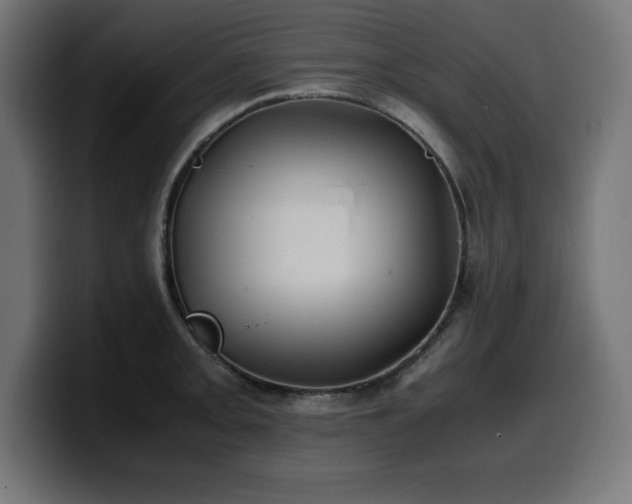 X0000100491093200806131245