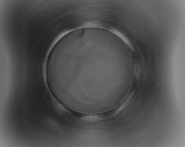 X0000100491094200806131245