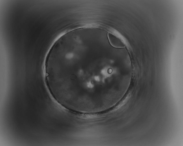 X0000100491095200806131245