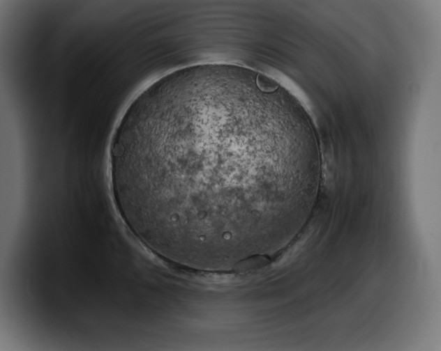X0000100491096200806131245