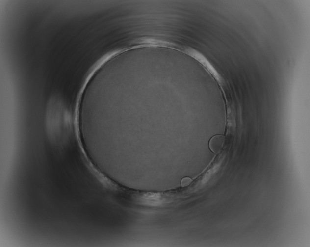X0000100491098200806131245