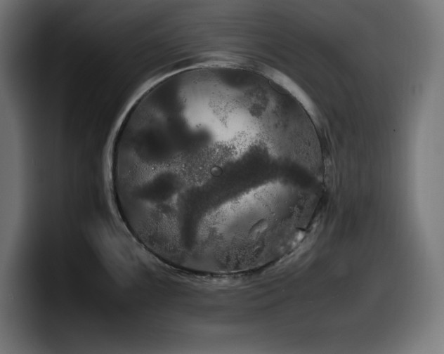 X0000100491099200806131245