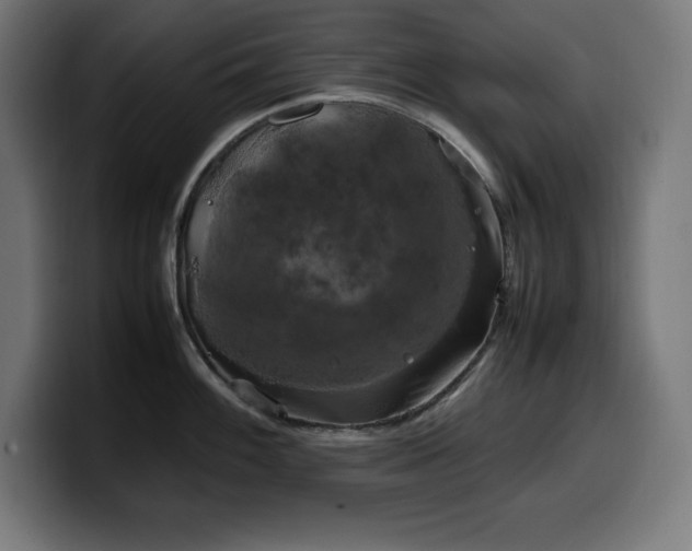 X0000100491100200806131245