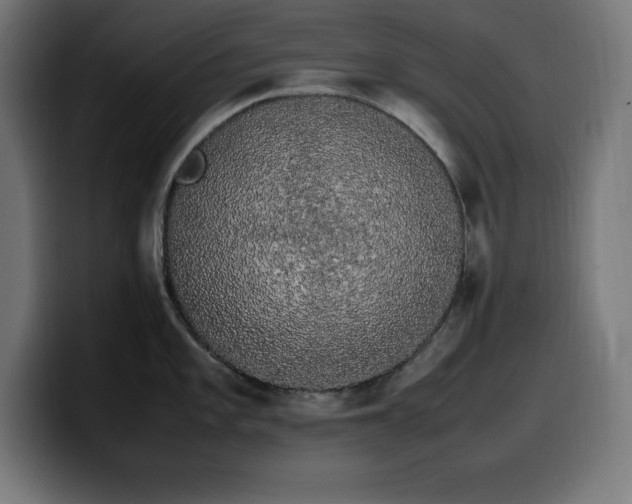 X0000100491101200806131245
