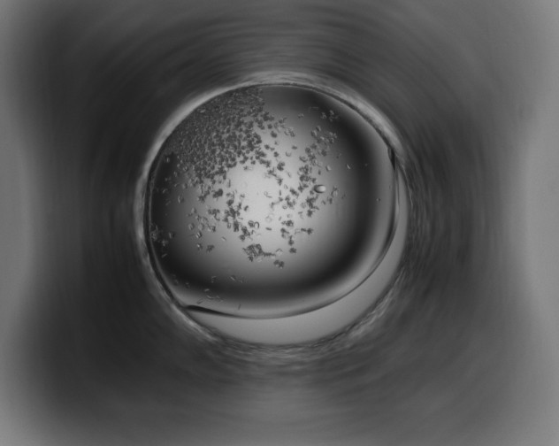 X0000100491102200806131245