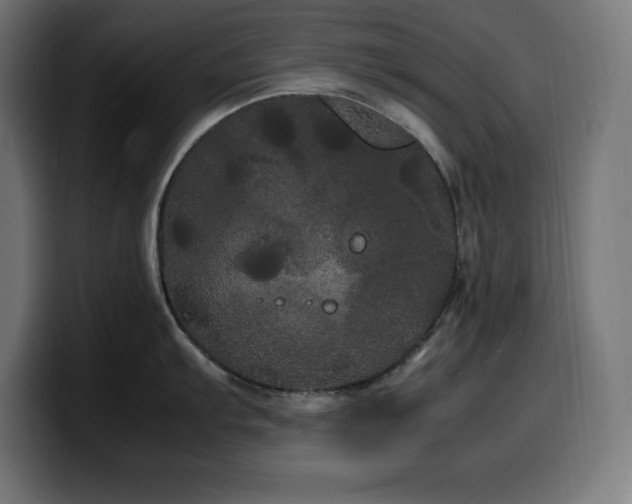 X0000100491103200806131245