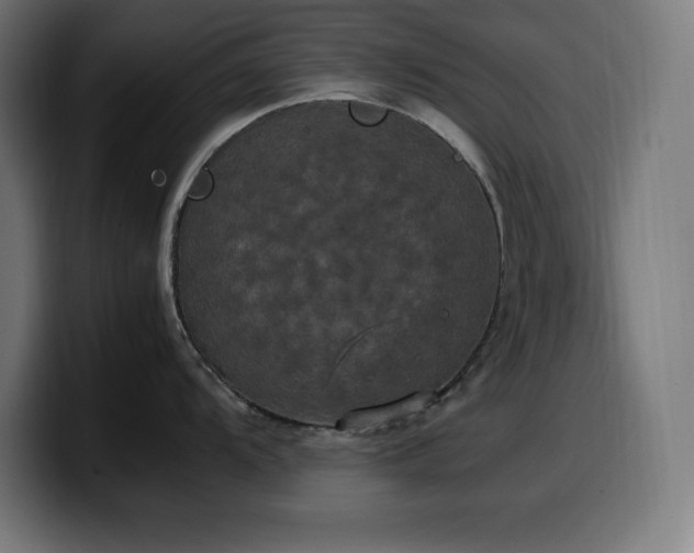 X0000100491104200806131245