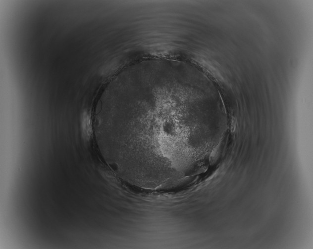 X0000100491106200806131244