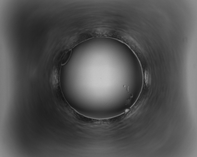 X0000100491107200806131244