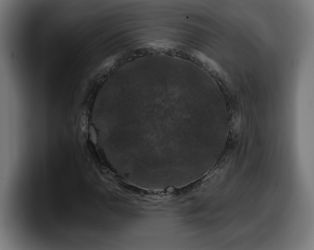 X0000100491110200806131244