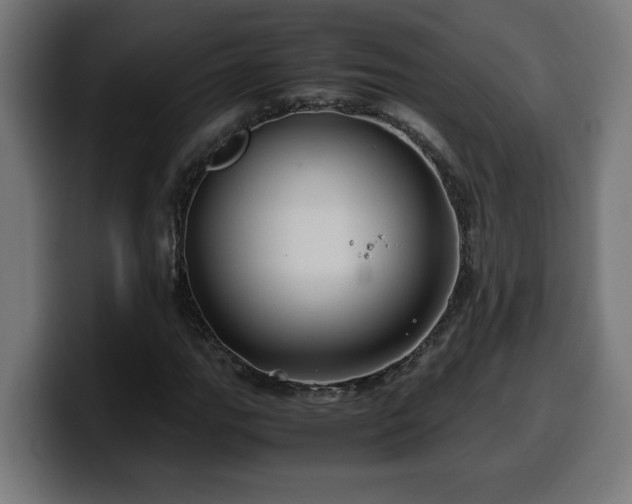 X0000100491111200806131244