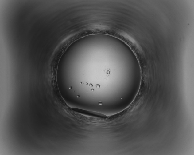X0000100491112200806131244