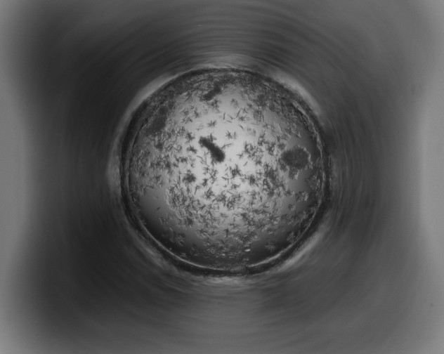 X0000100491114200806131244