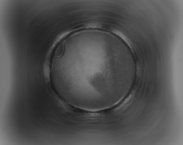 X0000100491115200806131244