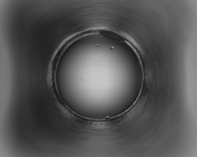 X0000100491116200806131244