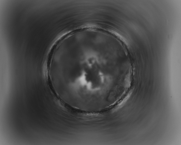 X0000100491117200806131244