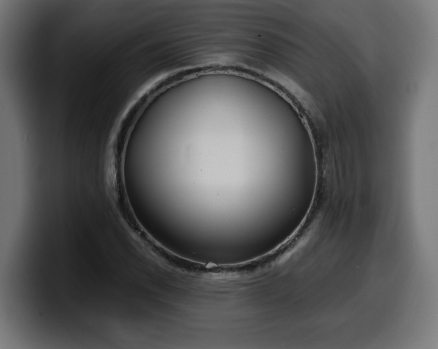 X0000100491118200806131244