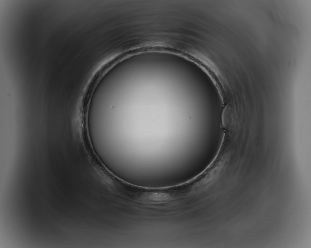 X0000100491119200806131244