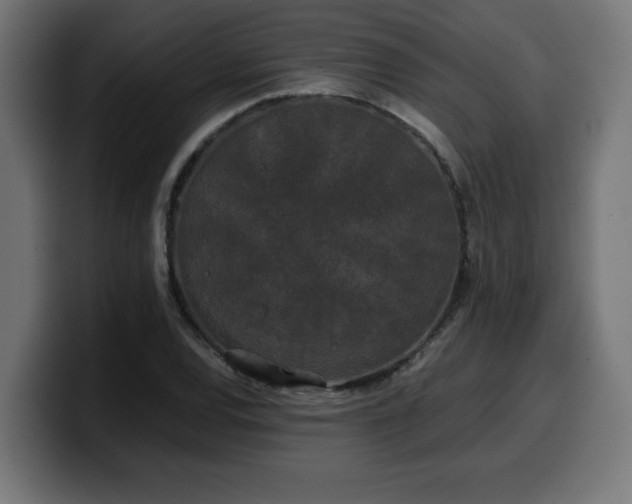 X0000100491120200806131244